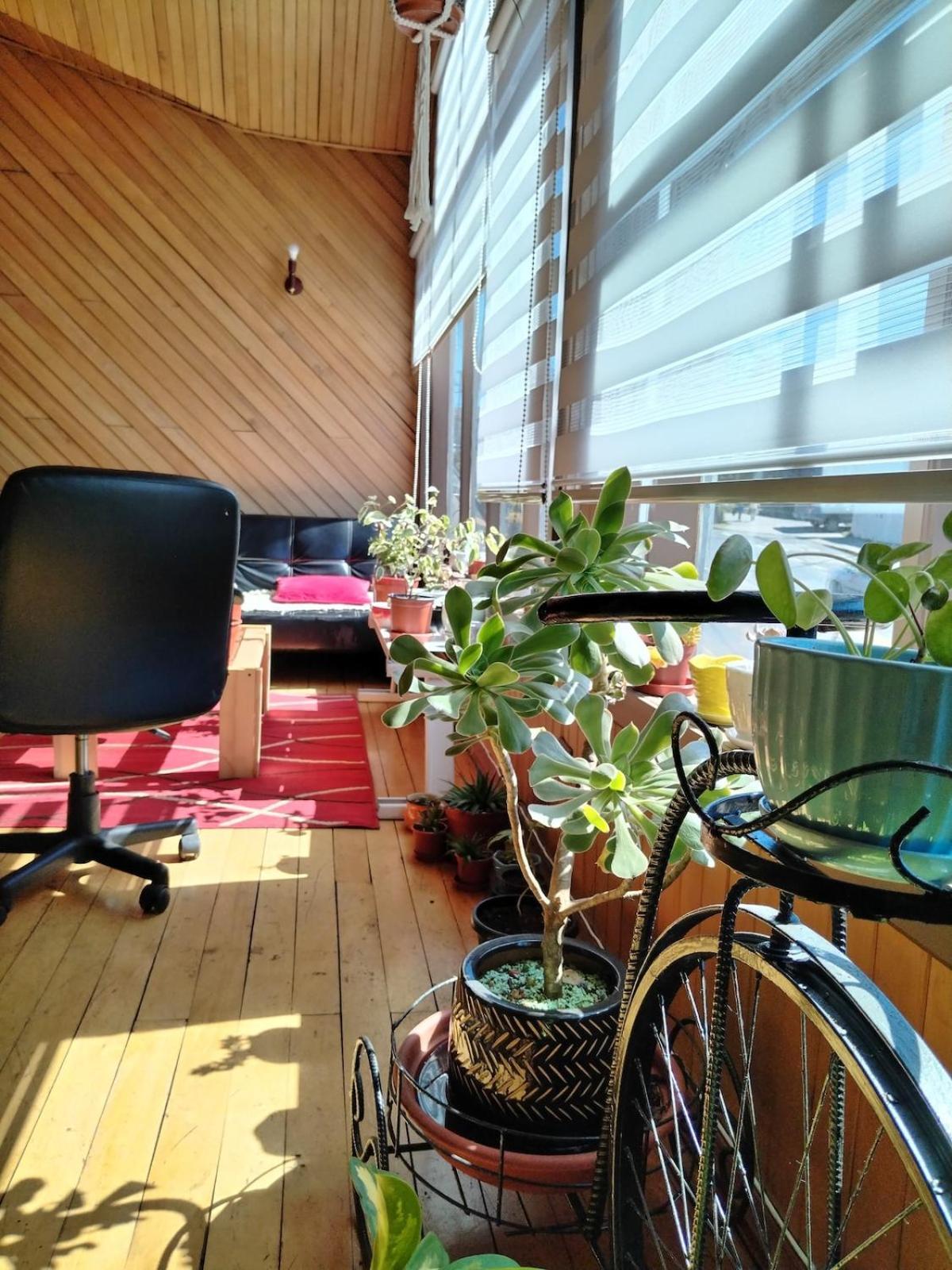 Habitacion Manio 卡斯特鲁 外观 照片