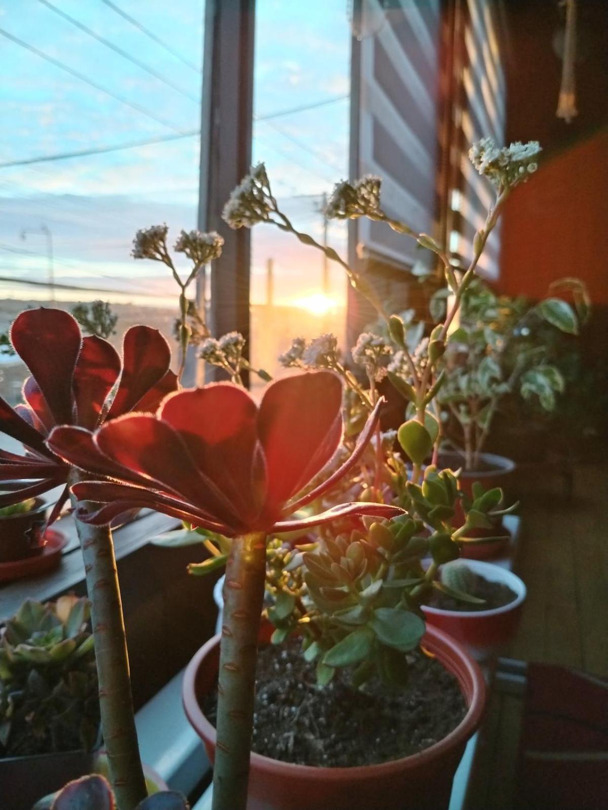 Habitacion Manio 卡斯特鲁 外观 照片
